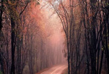 爱游戏APP-西雅图海湾者阵中多名球员状态回暖，备战充满信心