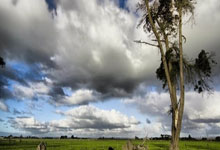 爱游戏APP-摩洛哥瓦赫达进攻端火力全开，状态持续爆发