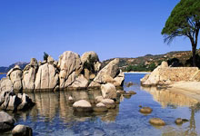 爱游戏体育-欧文：阿尔梅里亚炼狱里飞出金凤凰