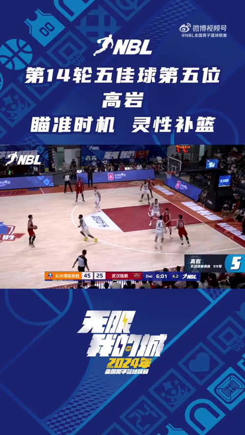 国内篮球职业联赛突然崛起,备受赞誉的简单介绍 国内篮球职业联赛突然崛起,备受赞誉的简单介绍